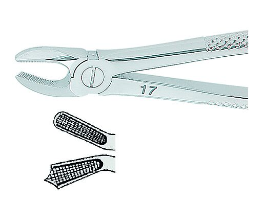 Extracting Forceps English No. 17 MEDIUM
